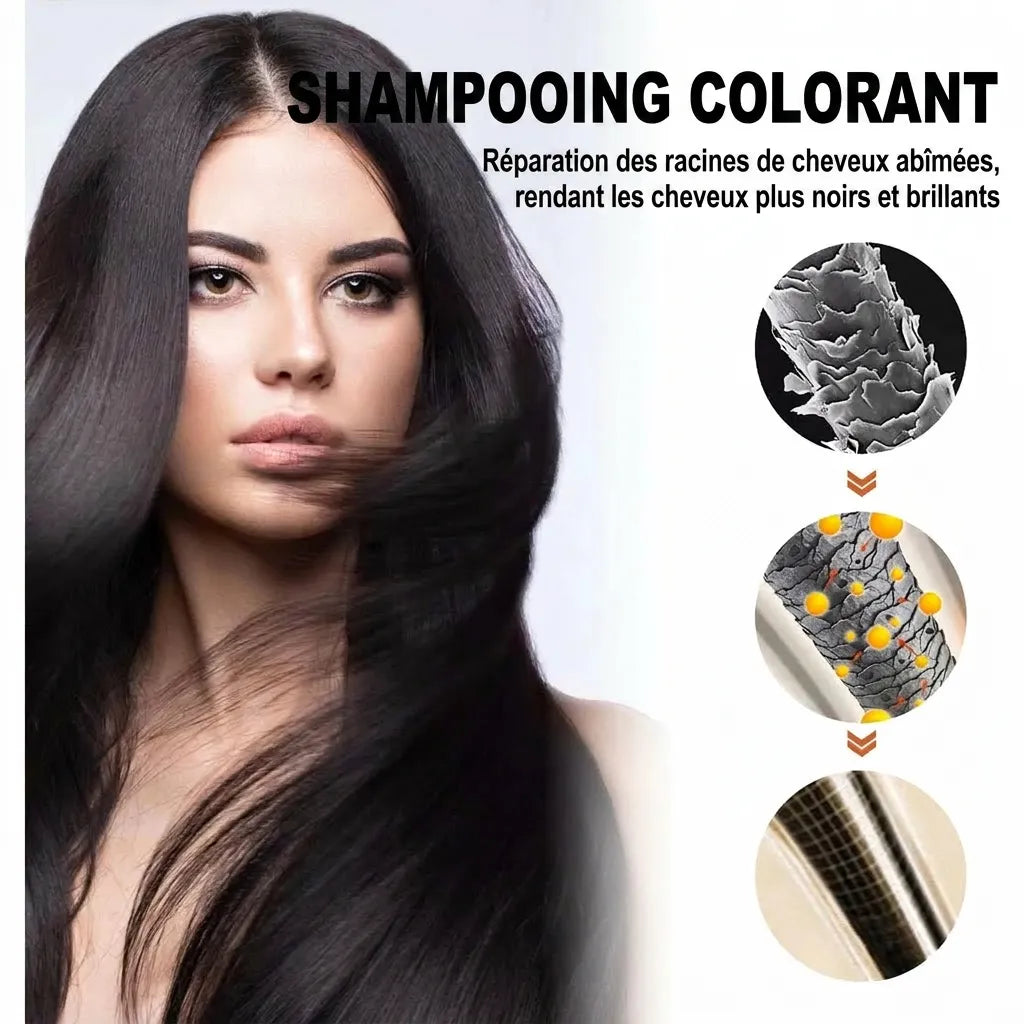 Shampoing réparateur et colorant pour cheveux noirs | Veiggara.