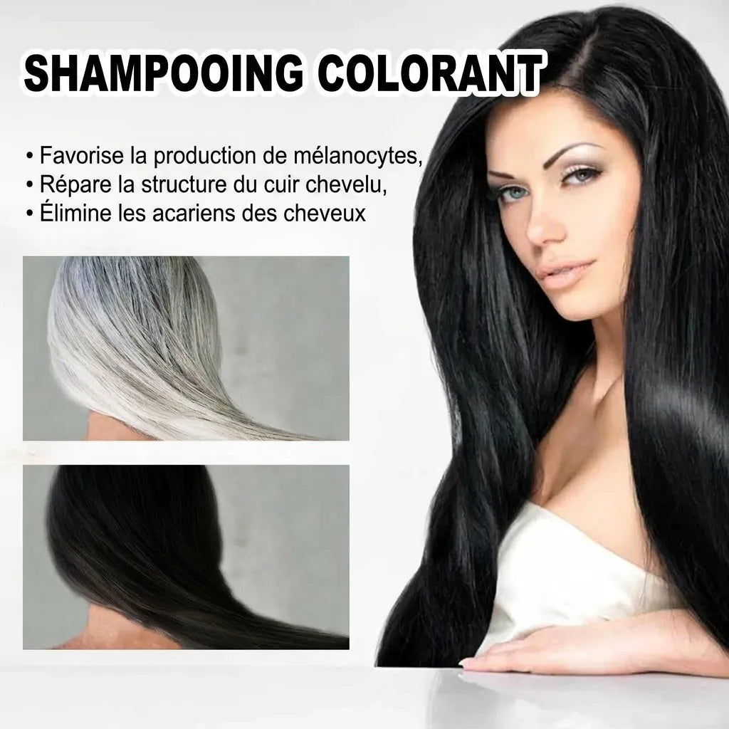 Shampoing réparateur et colorant pour cheveux noirs | Veiggara.
